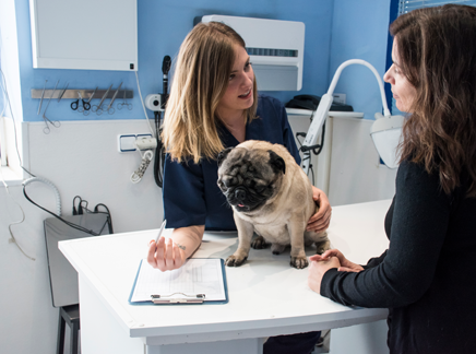 Adequan Canine Veterinarian dog clinic