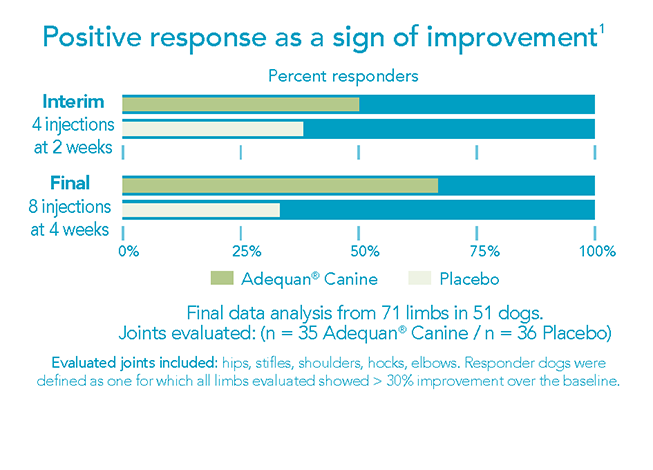 Adequan Canine clinical study results