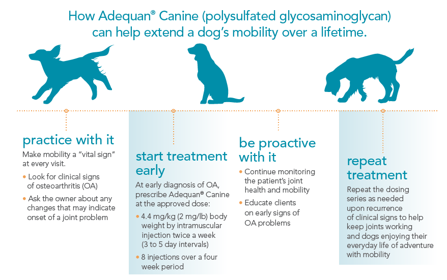 Adequan Canine lifetime of mobility chart